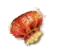 Đèn kéo quân Iwin